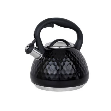 Чайник со свистком 2,7л нерж.сталь ARIES индукция (6)