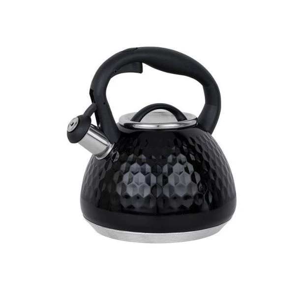 Чайник со свистком 2,7л нерж.сталь ARIES индукция (6)