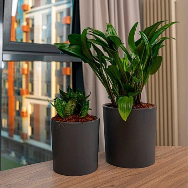 Горшок для цветов пластик Genius 3,9л d182 h180мм серый (18)