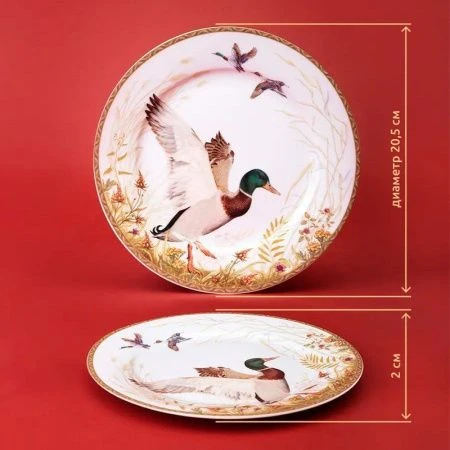 Тарелка мелкая 20,5см фарфор ОХОТА десертная (24)