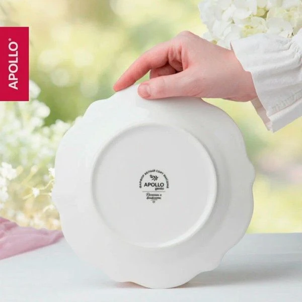 Тарелка мелкая 19см фарфор French rose десертная FRR-07 (48)