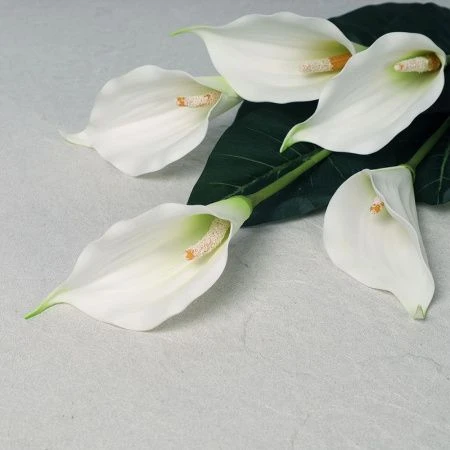 Цветы искусственные Каллы 87см пластик GT41-5-1 (480)