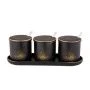 Набор для специй 3пр фарфор MIDNIGHT GOLD на подставке(12)