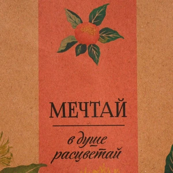 Пакет крафт 23*27*11,5см Мечтай ML