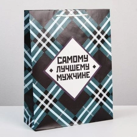 Пакет ламинированный 31*40*11,5см Самому лучшему мужчине (12)