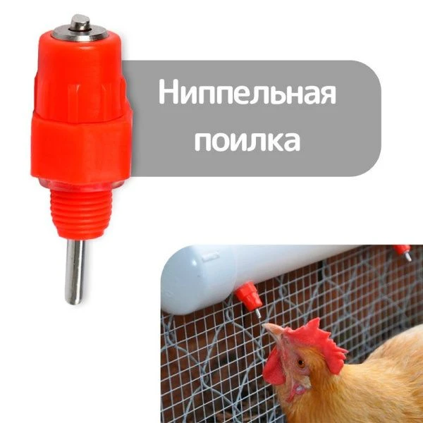 Поилка ниппельная для домашних птиц  Greengo (20)