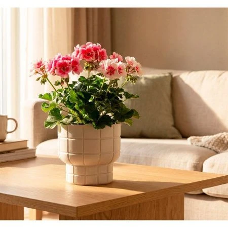 Кашпо 1л 150мм пластик КАРЕ со вставкой кремовый (16)