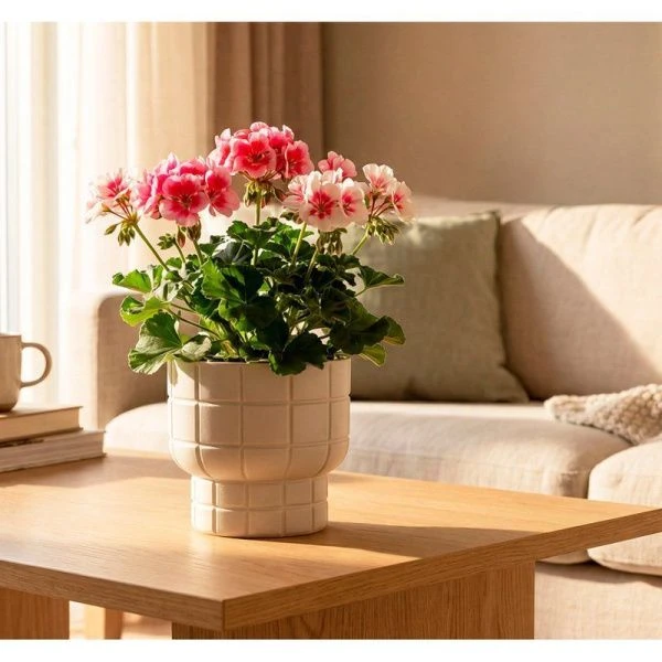 Кашпо 1л 150мм пластик КАРЕ со вставкой кремовый (16)