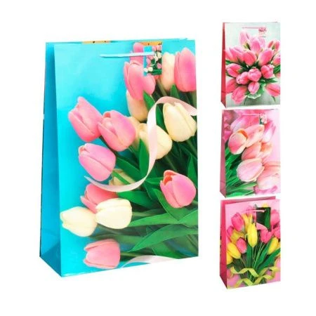 Пакет бумажный 26*38*10см микс (12/540)