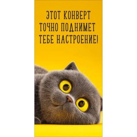 Конверт для денег 16,8*8,4см Этот конверт точно поднимет тебе настроение! (10)