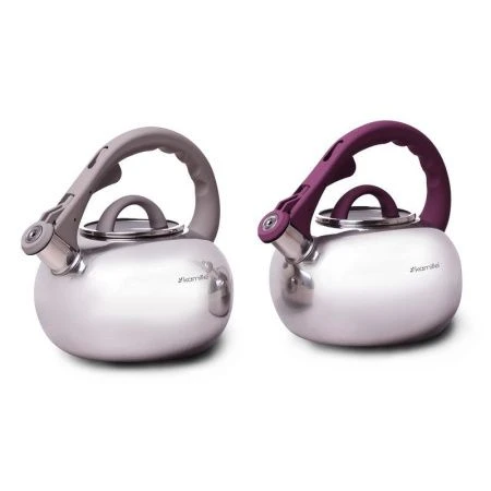 Чайник со свистком 2,8л нерж.сталь стекл.крышка бакел.ручка soft-touch (серая, фиол) арт.0687A (12)