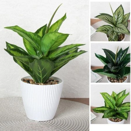 Цветы искусственные Диффенбахия 26см пластик 9090-12 (12/72)