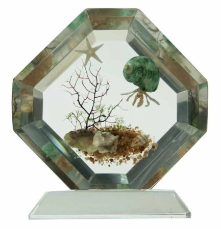 Декор настольный Краб-отшельник 12*11*3см (40)