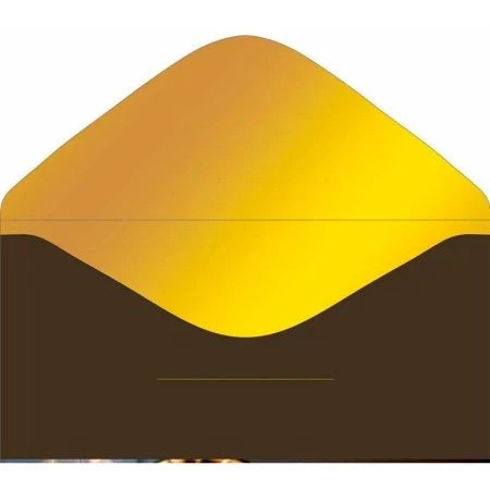 Конверт для денег 16,8*8,4см Золотые диски (10)