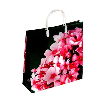 Пакет с пластиковой ручкой полиэтилен 30*30*10см Флоксы 19-183 (20/200)