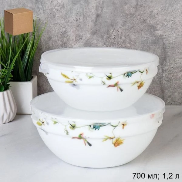 Салатники набор 2пр 0,7/1,2л стеклокерамика РАЙСКИЙ САД с пласт.крышками GRAY-SW2A(7008) (18)