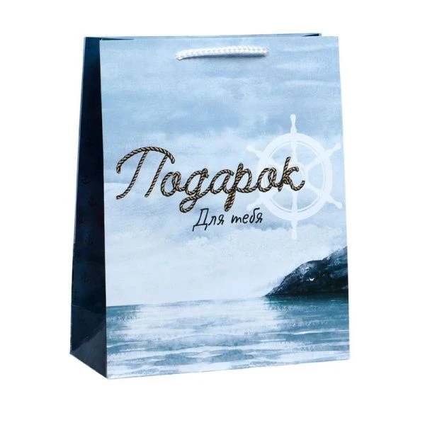 Пакет бумажный 21*25*8см Present for you (1/350)