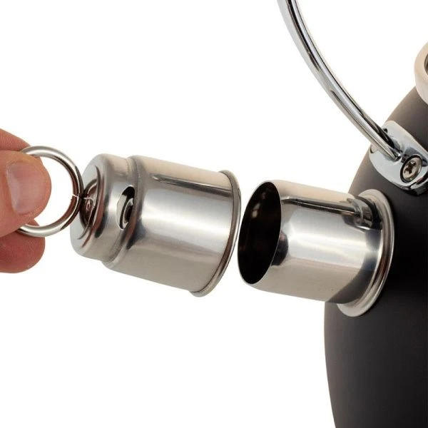 Чайник со свистком 2,5л нерж.сталь ручка soft touch черный