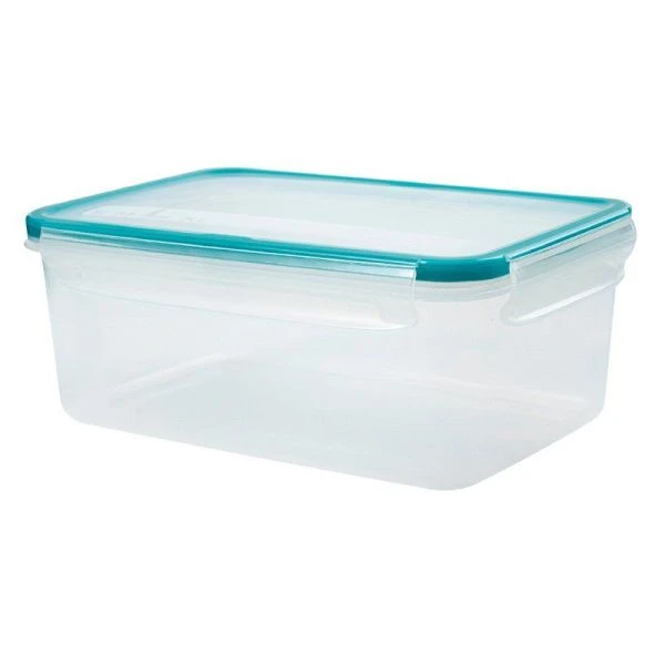 Контейнер пищевой 2,4л 239*165*94мм пластик ЭКСТРА ЛОК Bright L хвоя герметичный (10)