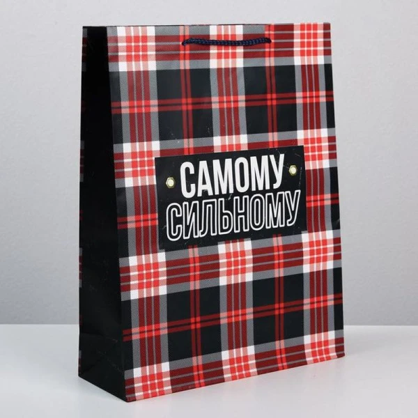 Пакет ламинированный 31*40*11,5см  Real strong (12)