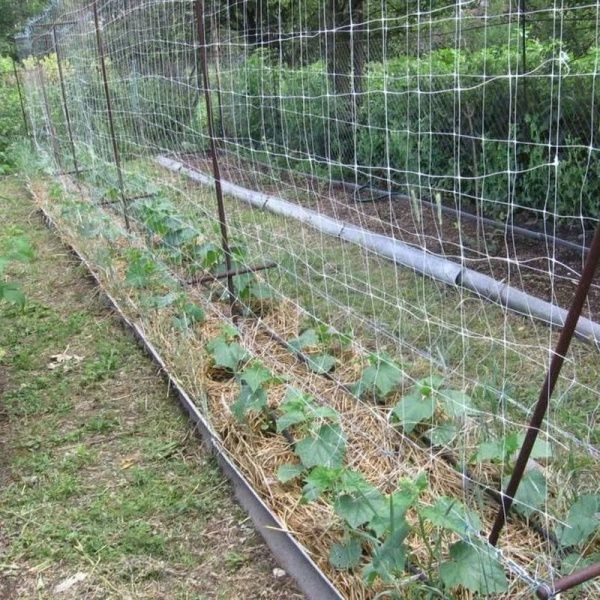 Сетка шпалерная 1,7м*5м полипропилен (20/10)