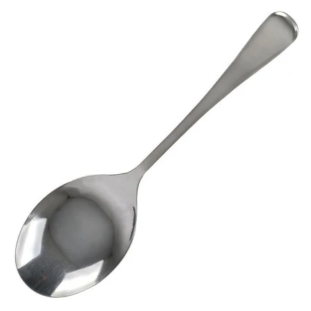 Ложка салатная 25*6,5см металл 1010 JC-420 (200)