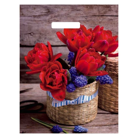 Пакет с вырубной ручкой 31*40см полиэтилен Элисон (50/1000)