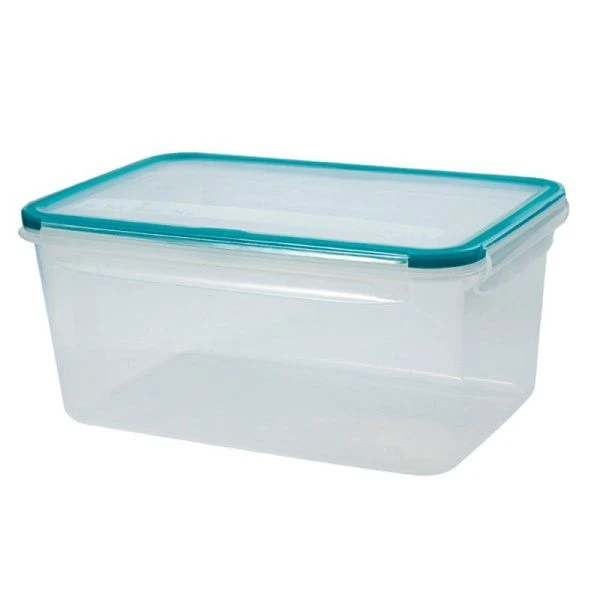 Контейнер пищевой 3,3л 239*165*125мм пластик ЭКСТРА ЛОК Bright L хвоя герметичный (8)