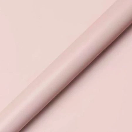 Пленка матовая полипропилен набор 20 листов 50мкм 58*58см с золотой каймой пудровая (50)