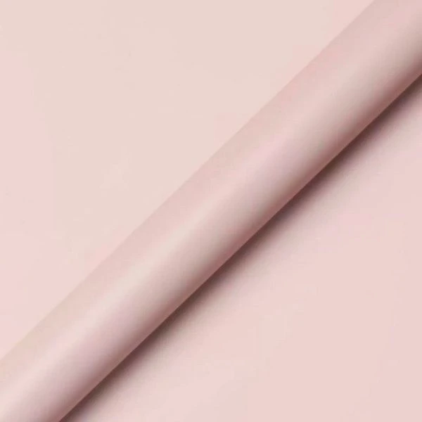 Пленка матовая полипропилен набор 20 листов 50мкм 58*58см с золотой каймой пудровая (50)