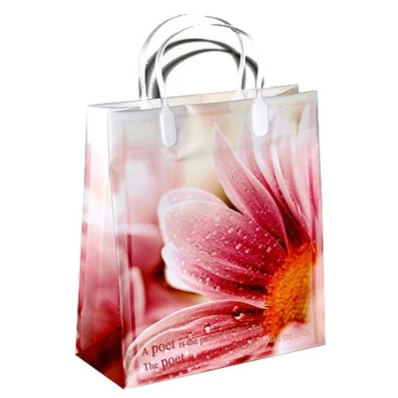 Пакет с пластиковой ручкой 23*25*10см Пробуждение хризантемы 01-063 (20/200)