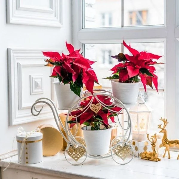 Подставка на 4 цветка 43*16*35см металл КАРЕТА белая-золото 510-312 (1)