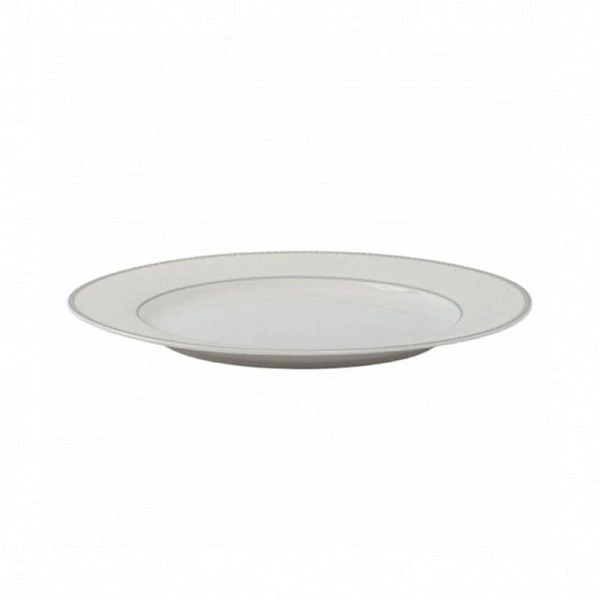 Тарелка мелкая 23см фарфор ICONIC суповая TDP691 (6)