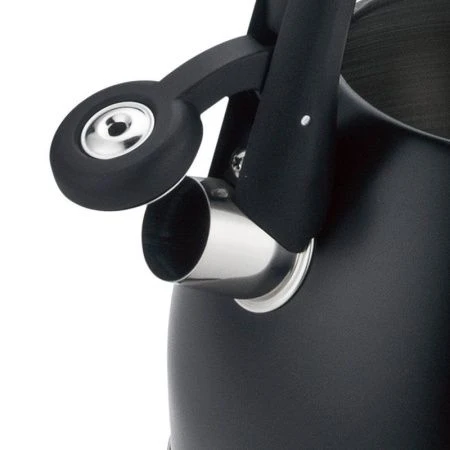 Чайник со свистком 2,7л нерж.сталь СИРИУС матовый черный, нейлон,ручка, индукц.капс.дно LR00-98 (6)