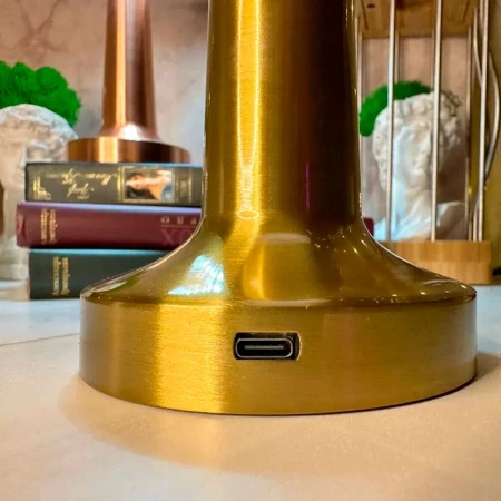 Лампа настольная 21*9см 800mA 6-7 часов, usb, кнопка, 2 режима свечения, бронза (30) JC-16979