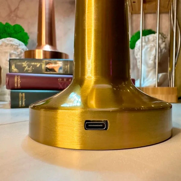 Лампа настольная 21*9см 800mA 6-7 часов, usb, кнопка, 2 режима свечения, бронза (30) JC-16979