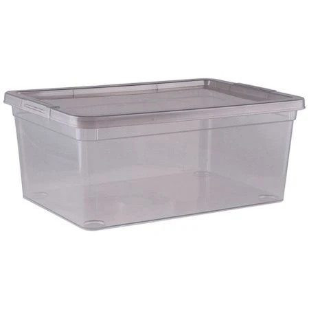Контейнер для мелочей 3,5л 259*182*106мм пластик MYSTERY (11)