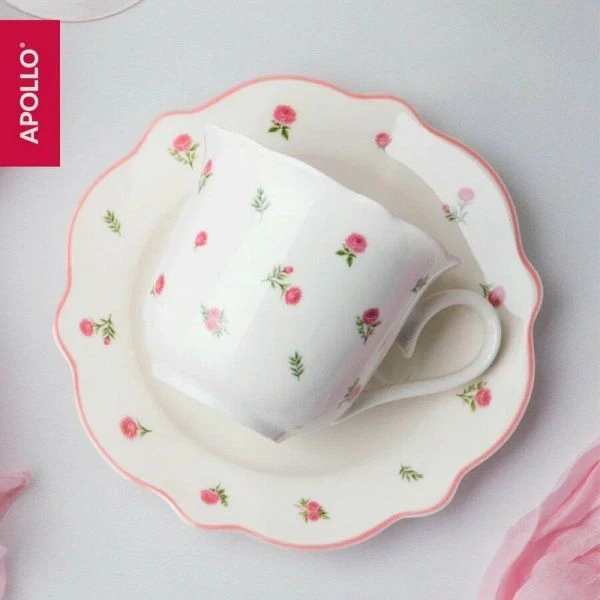 Чайный набор 2пр фарфор French rose на 1 персону 250мл FRR-03 (24)