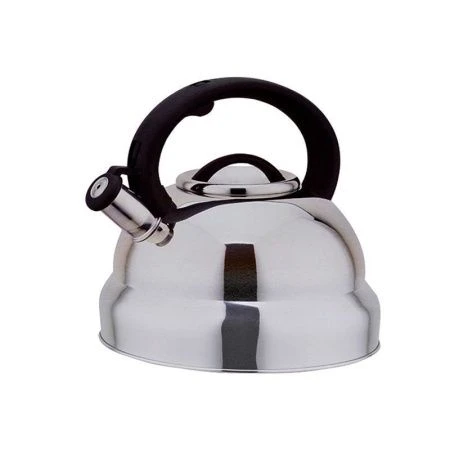 Чайник со свистком 5л нерж.сталь BH-9857 (12)