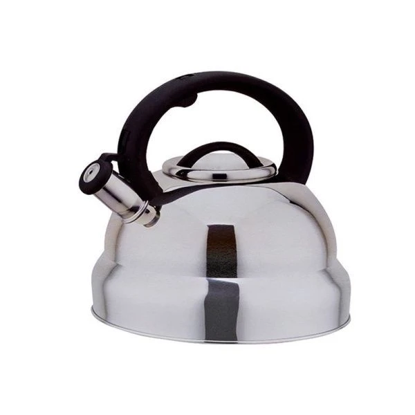 Чайник со свистком 5л нерж.сталь BH-9857 (12)