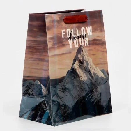 Пакет ламинированный 18*23*10см Гора