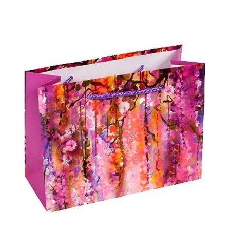 Пакет бумажный 17*13*7см горизонтальный Волшебный сад (12/288)