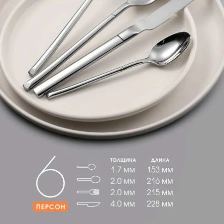 Набор столовых приборов 24пр нерж.сталь зерк.полировка Пегас LR10-28/24