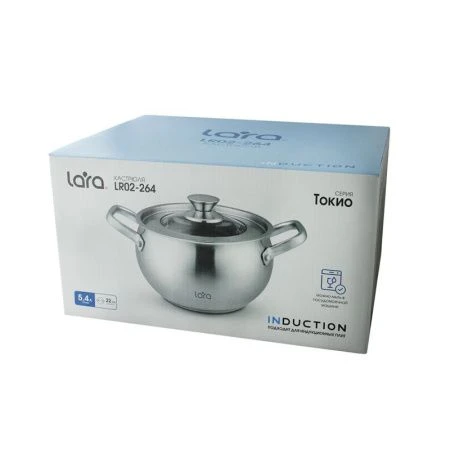 Кастрюля 5,4л нерж.сталь ТОКИО стекл.крышка 22см, h13,5см, индукц.капс.дно LR02-264 (4)