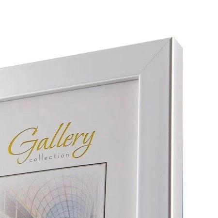 Фоторамка 15*21см пластик 641822-6 (12)