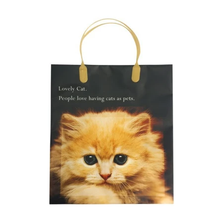 Пакет с пластиковой ручкой 23*26*10см Котя 01-053 (20/200)