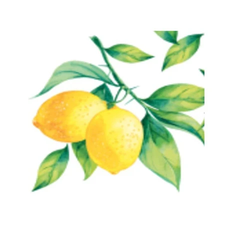 Салфетки бумажные Desna Design 40шт однослойные 25*25 Лимон (32)