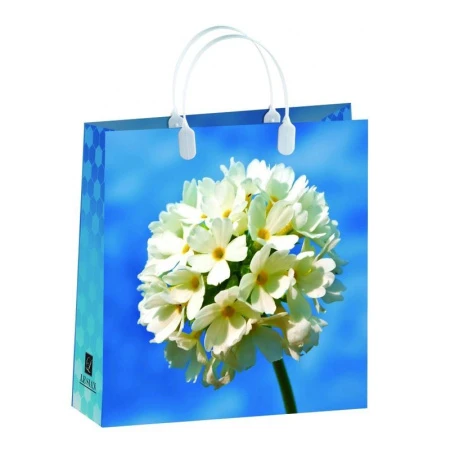 Пакет с пластиковой ручкой полиэтилен 30*30*10см Белый круглый (20/200)