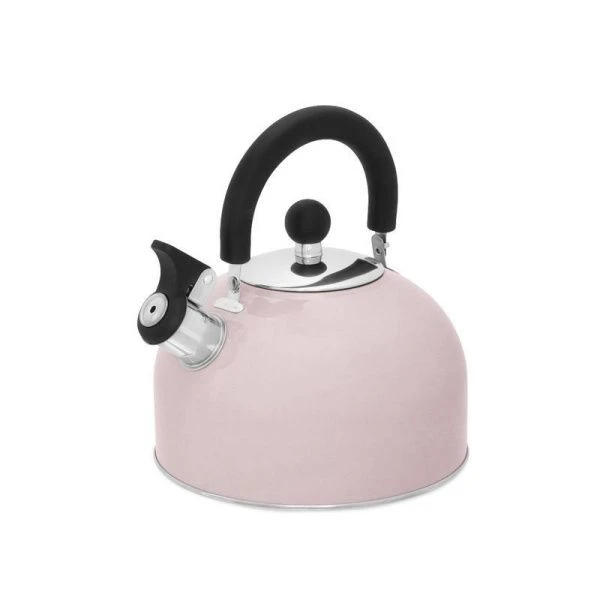 Чайник со свистком 2,5л нерж.сталь NATURA ASN008 (12)