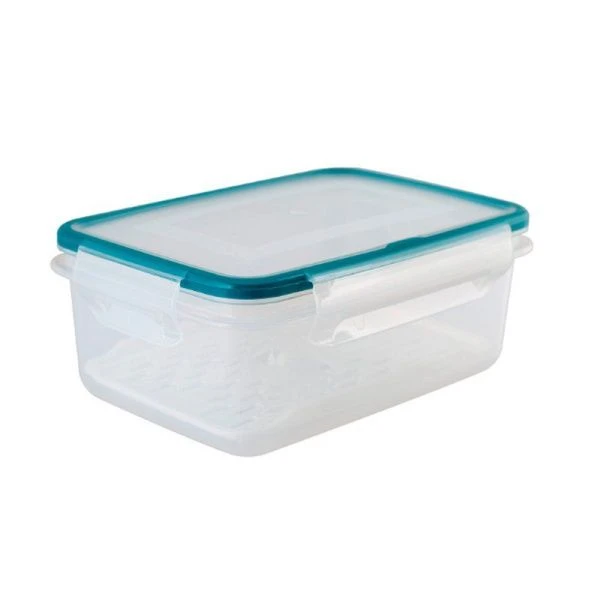 Контейнер пищевой 750мл 163*118*64мм пластик ЭКСТРА ЛОК Bright S герметичный хвоя (20)